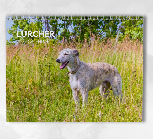 Lurcher calendar 2027 monthly - lurcher,