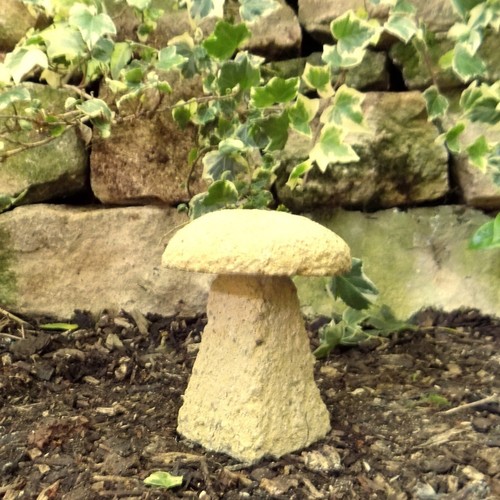 Cotswold staddle stone - staddle, b