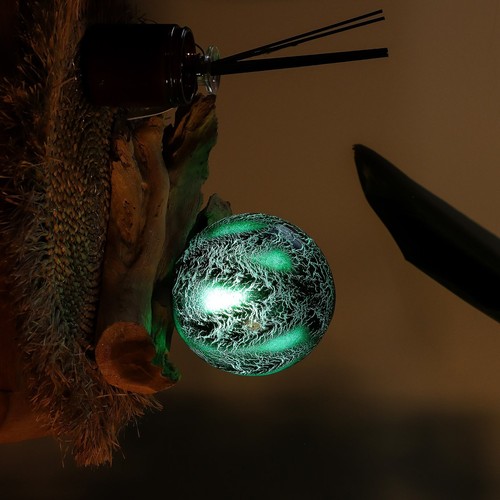 Drift wood glow - wood, lamp