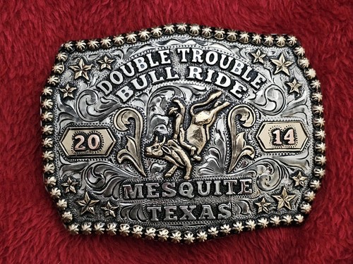 Bull riding - bull,