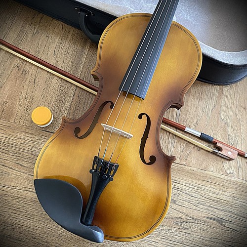 Gorgeous solid wood viola - gorgeous,