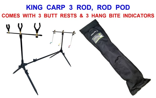 Carp fishing king - fishing,