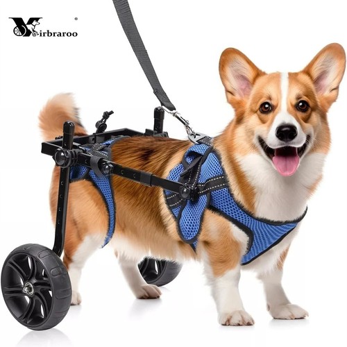 Used dog wheelchair for - wheelchair, back