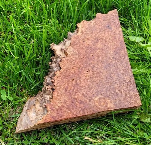 Timber scottish burr elm blank - burr,