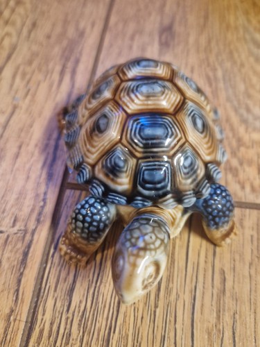 Wade porcelain tortoise - wade,