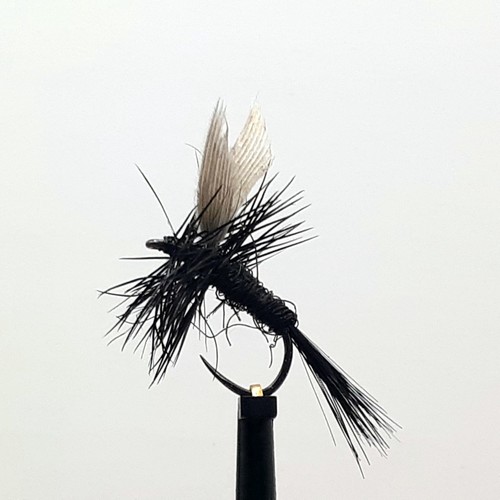 Barbless black gnat dry - 3,