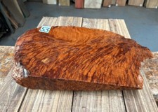 1 x Thuya Burr Cap / Wood