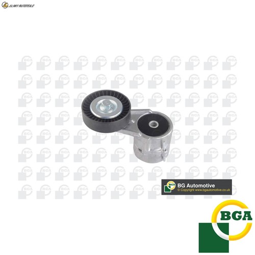 Tensioning arm ribbed belt - arm,
