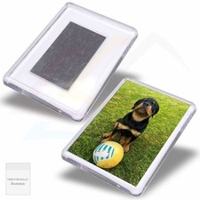 Small Acrylic Fridge Magnet