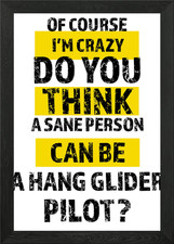 Hang glider pilot Framed Wall