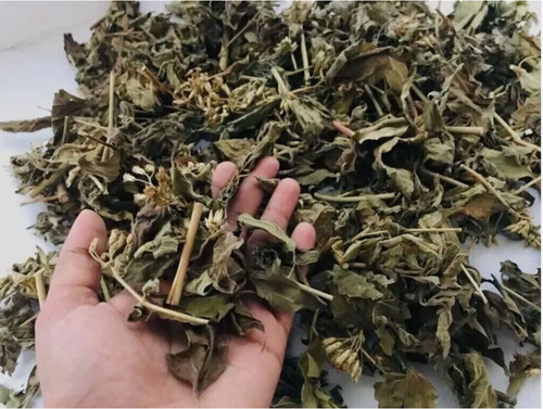 Dried mexican dream - mexican, calea