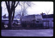 Bus Slide - Fifth Avenue Coach