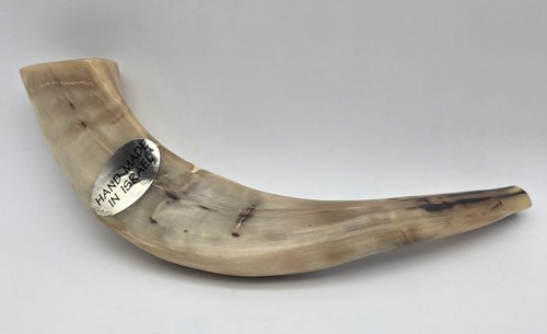 Kosher ram shofar horn - kosher,