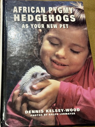 African pygmy hedgehogs - african, as