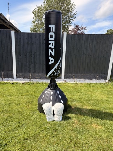 Forza stand punching - up, back