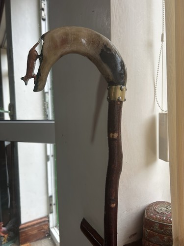 Shepherds crook - shepherds,