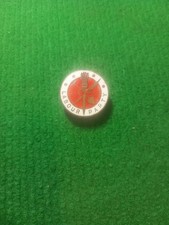 VINTAGE LIBERTY ENAMEL BADGE 
