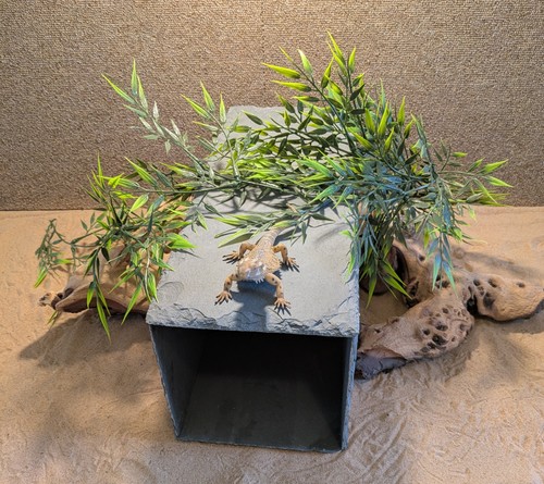 Xxxl large natural - slate, cave