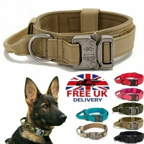 Universal tactical dog collar - universal,