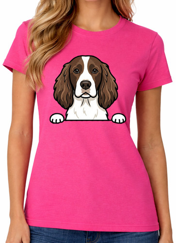 English springer spaniel dog - english,