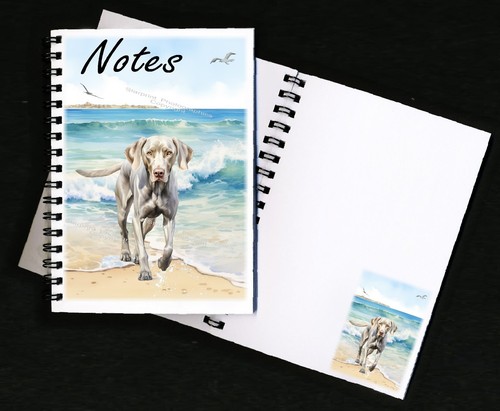 Weimaraner dog - weimaraner,