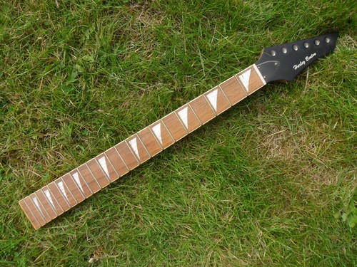 Electric guitar neck - guitar,