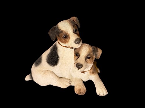 Jack russell terrier dog - russell,