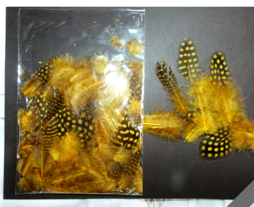Guinea fowl feathers mixed - guinea,
