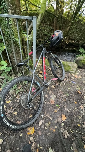 Trek mountain bike - trek,