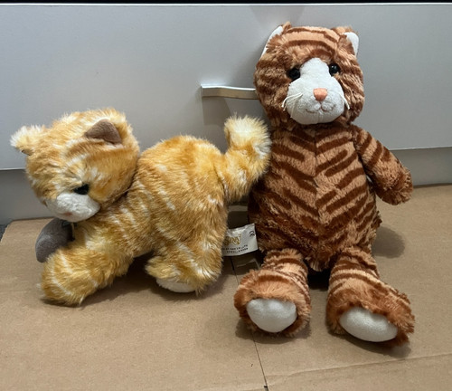 Ginger orange tabby striped - ginger,