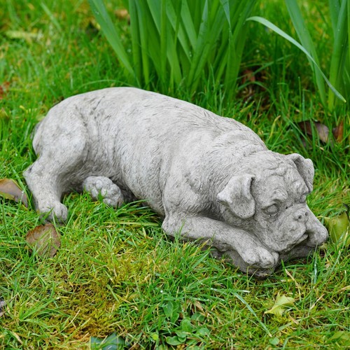 Boxer dog stone statue - dog, |