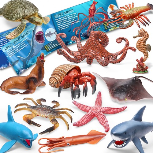 Pack ocean animal - 12, with