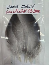 Lot of 6 pair  " Mallard