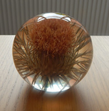 Vintage Hafod Grange Large