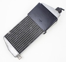 Rotax Max Kart Silver Current