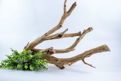 Manzanita aquarium driftwood - manzanita,