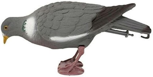 Flocked pigeons full - full, body