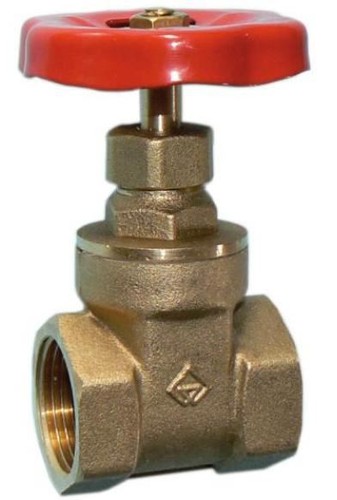 Economy gate valve - 1/2",