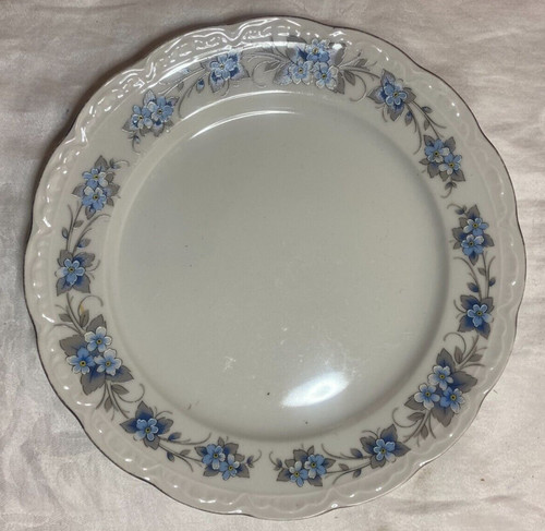 Mitterteich bone china plate - bone,