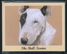 THE BULL TERRIER - Man's Best