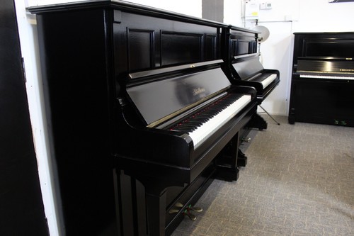 Bluthner ebony - 🎹, !!!