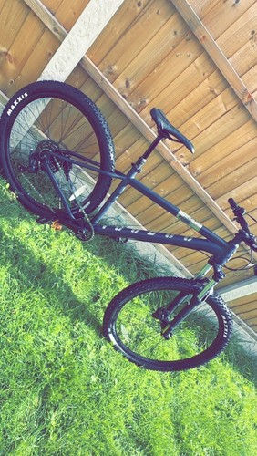 Voodoo braag with - braag, 29”