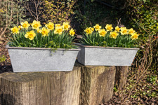 Set Of 2 Bee Zinc Rectangular