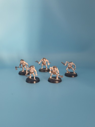 Painted warhammer lotr the - lotr,