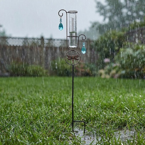 Outdoor rain gauge dragonfly - gauge,