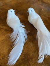 Easter Pair White Doves in