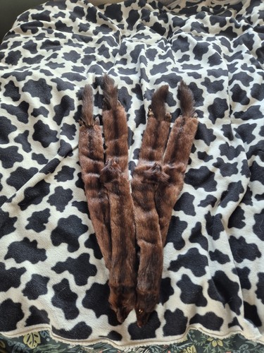 Vintage mink stole - vintage,