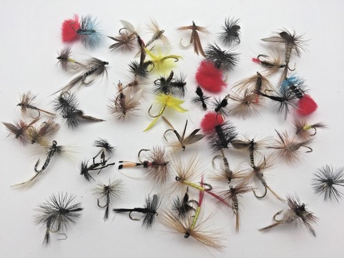 Fly fishing flies - flies, box