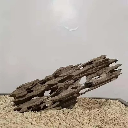 Natural shrimp driftwood - natural,