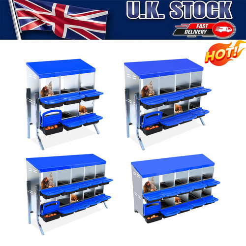 Compartment chicken - 6/8/10-compartment,